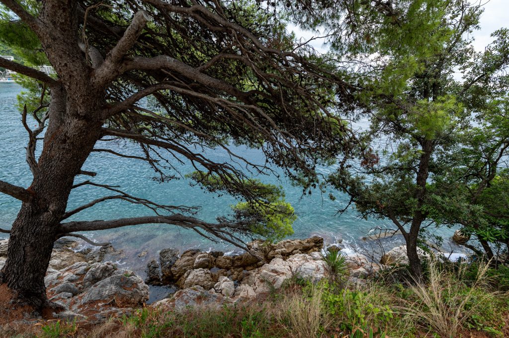 Plaża Uvala Lapad