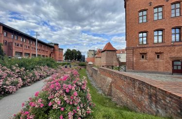 Mury Obronne Poznań