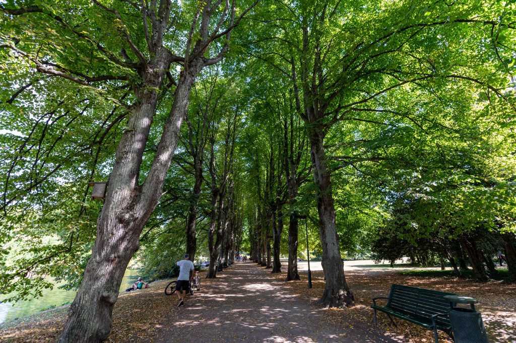 Kungsparken Malmo