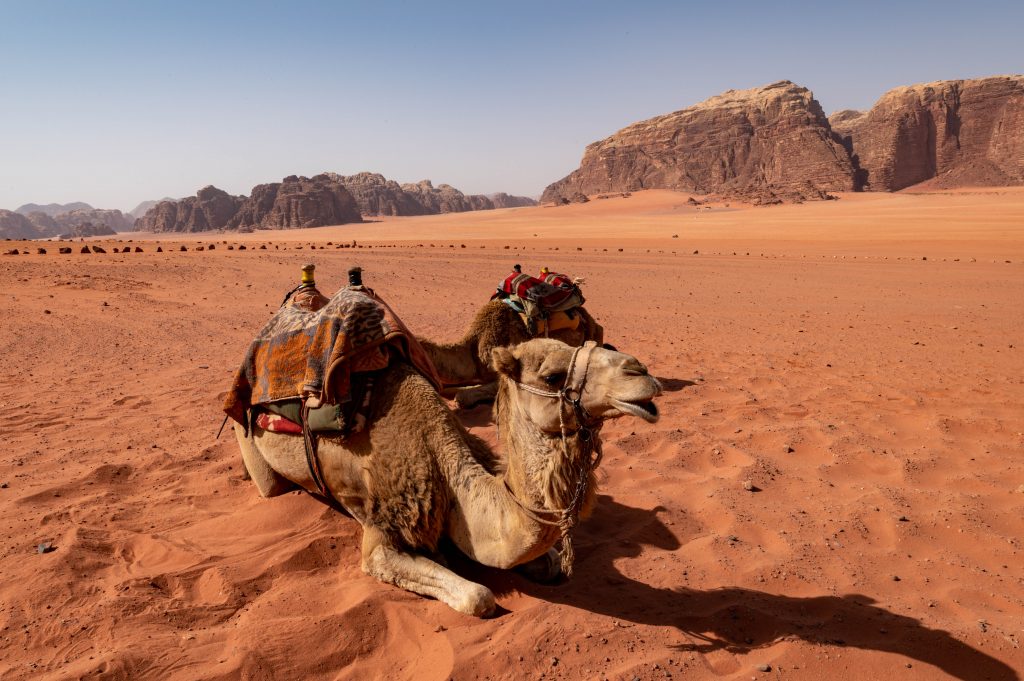 Wadi Rum