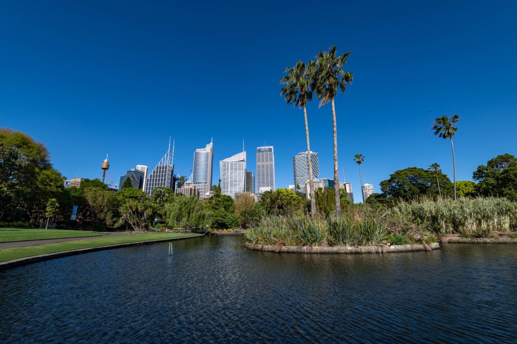Królewskie Ogrody Botaniczne Sydney