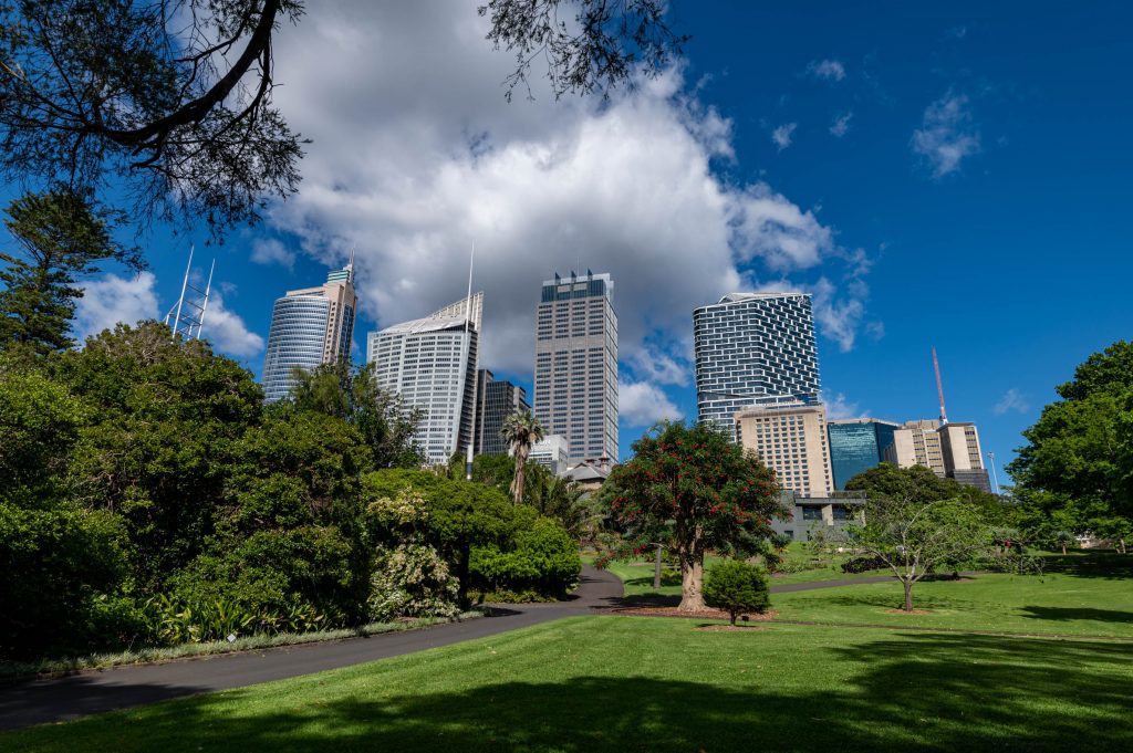 Królewskie Ogrody Botaniczne Sydney