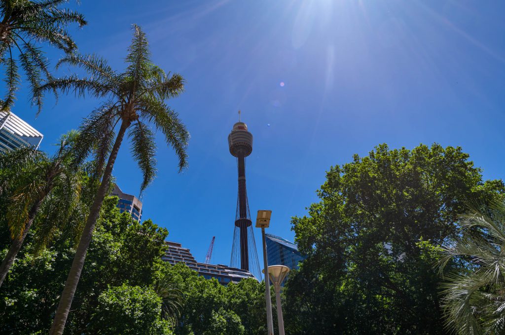 Tower Eye Sydney