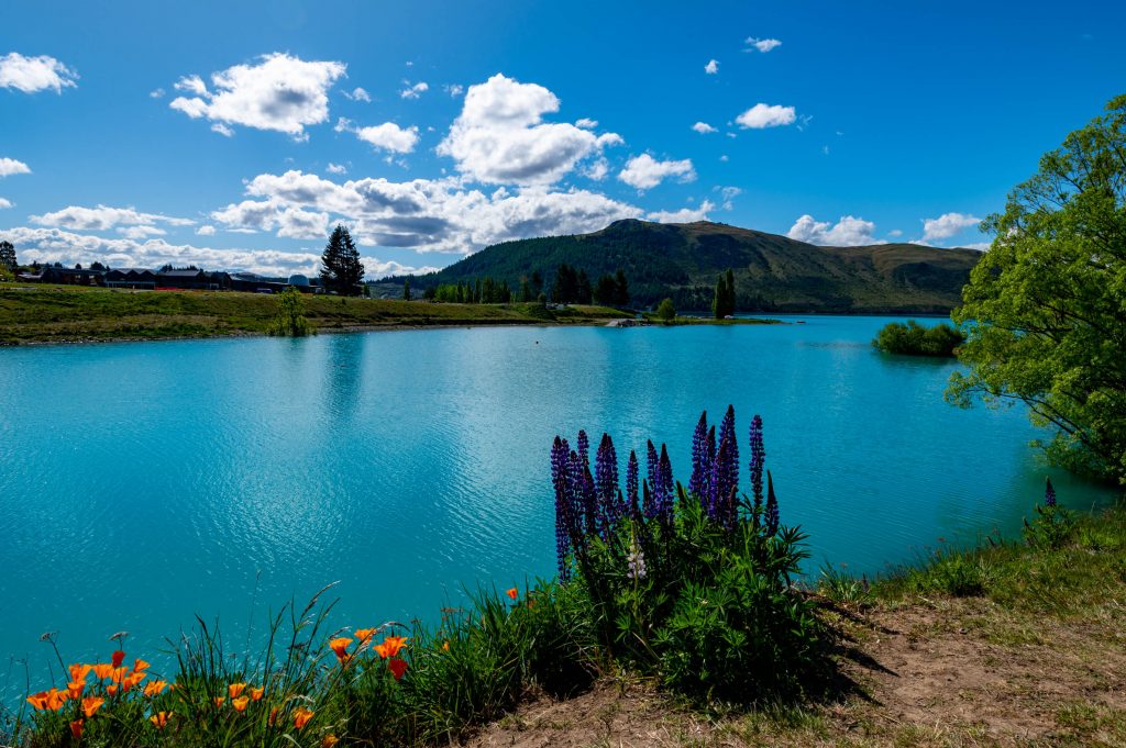 Lake Tekapo