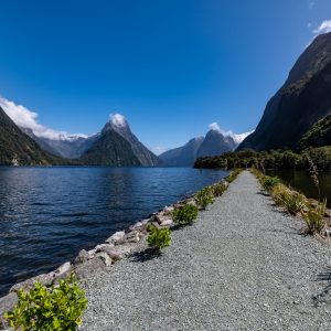 Milford Sound(1)