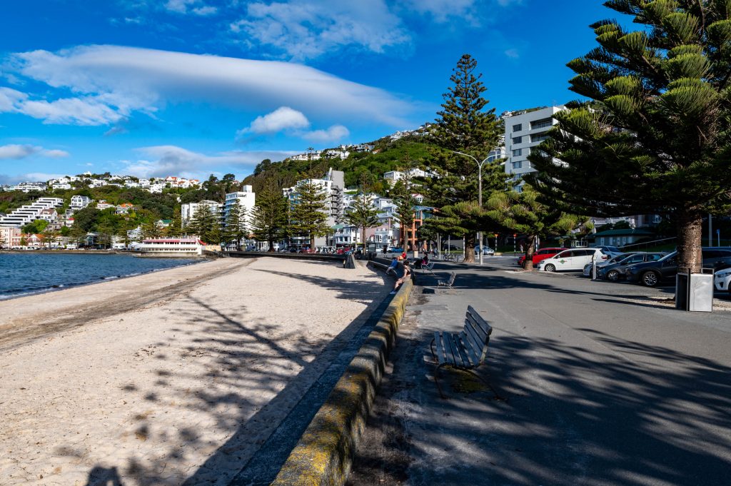 Freyberg Beach Wellington