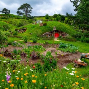 Hobbiton Nowa Zelandia