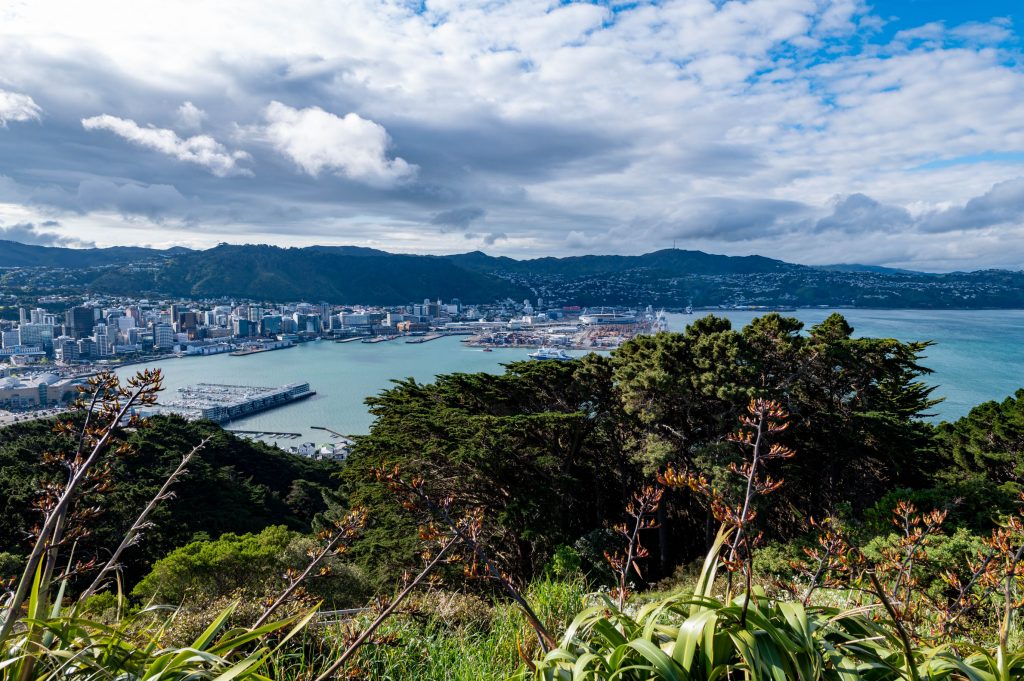 Mount Victoria Lookout Wellington NZ