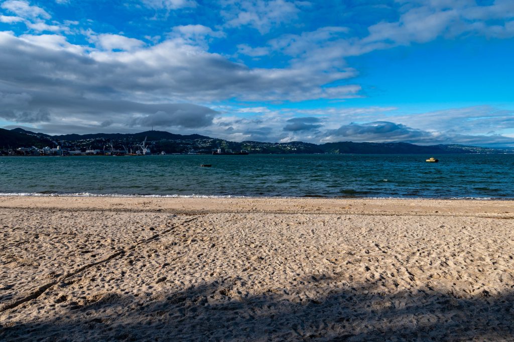 Plaża Freyberg Wellington