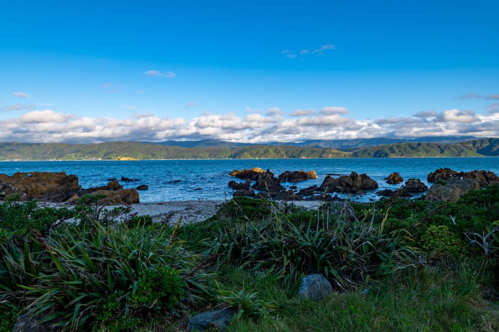 Point Halswell New Zealand