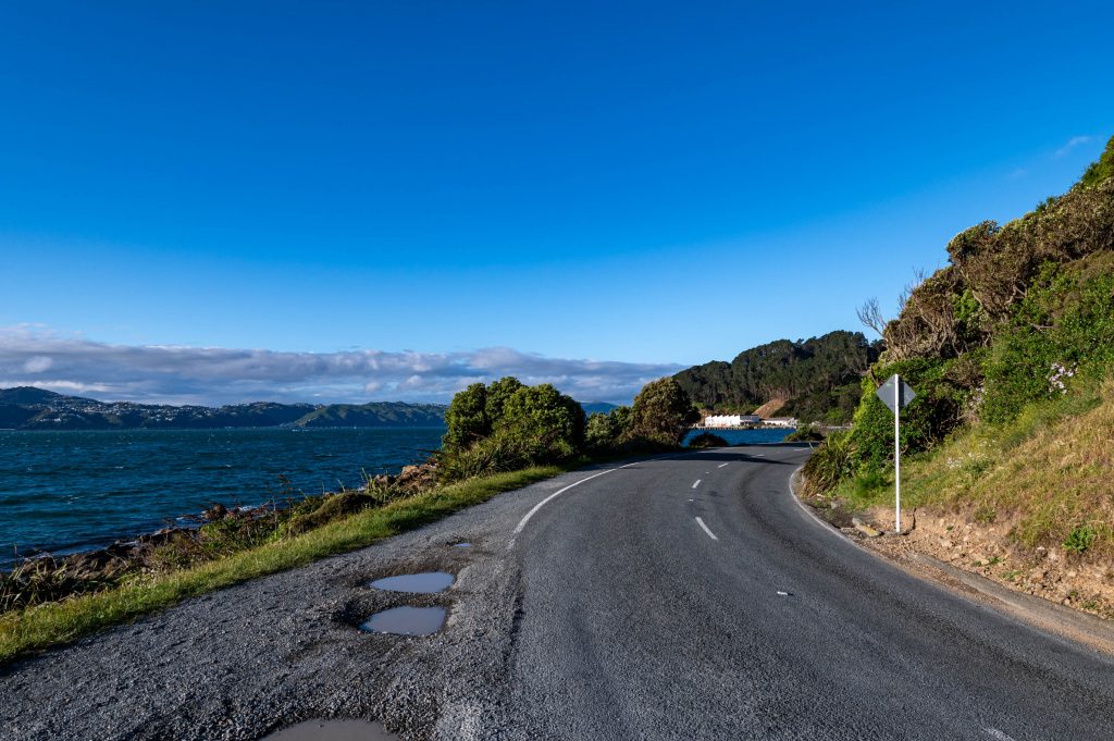 Point Halswell Wellington NZ