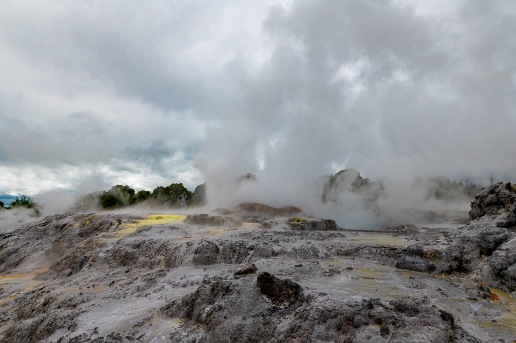 Te Puia Rotorua