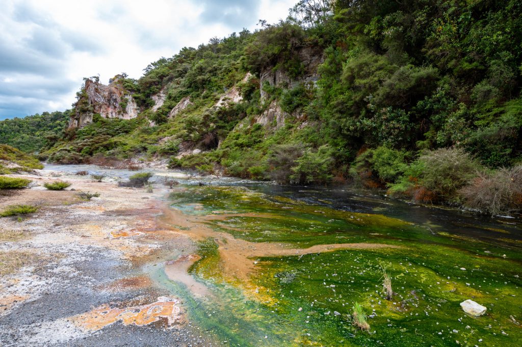 Waimangu Rotorua