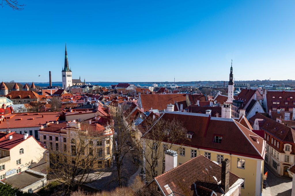 Kohtuotsa - wieża widokowa Tallin