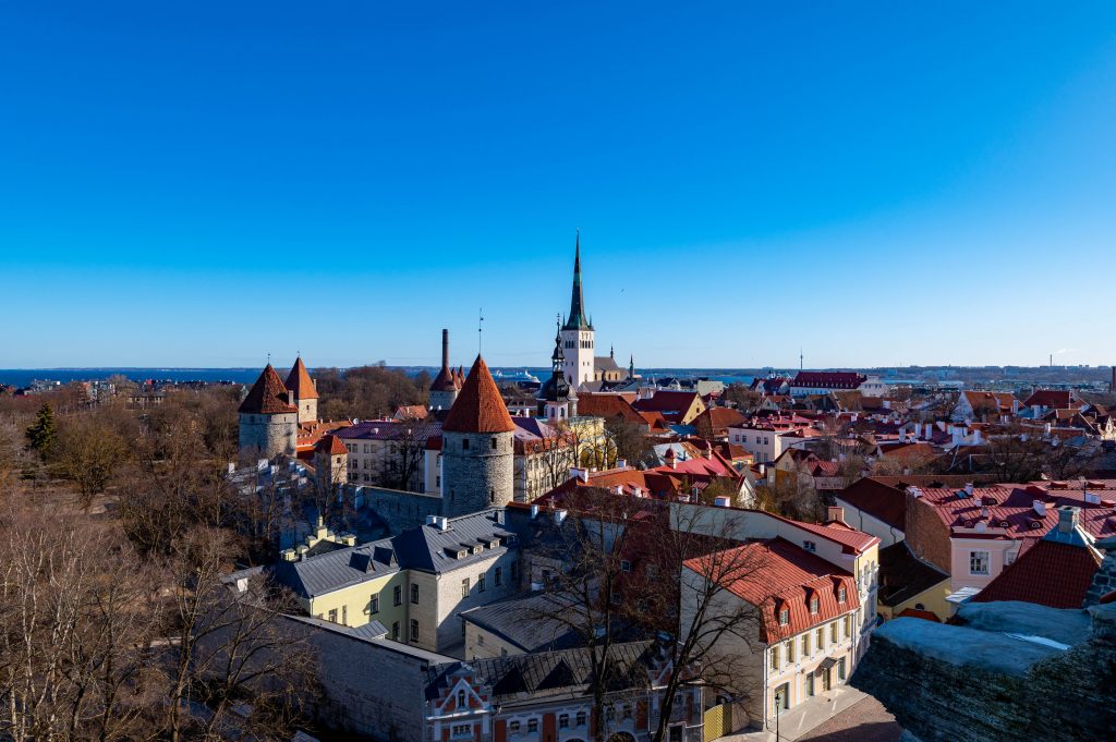 Patkuli - wieża widokowa Tallin