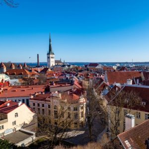 Tallin small