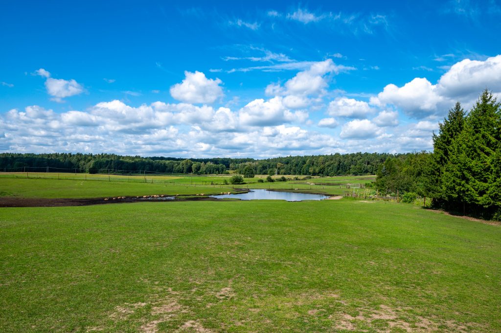 Park Dzikich Zwierząt Mazury