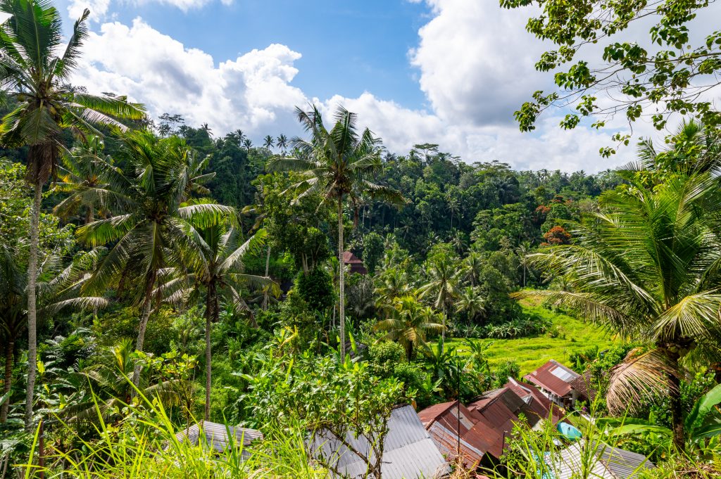 Bali