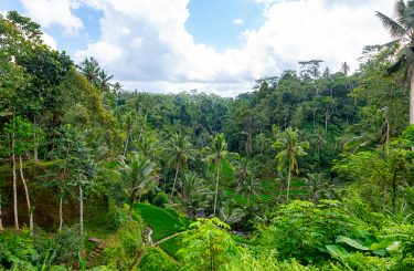 Indonezja