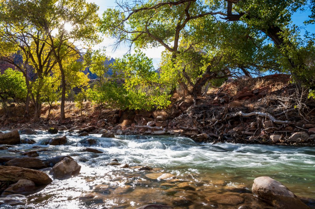 Zion