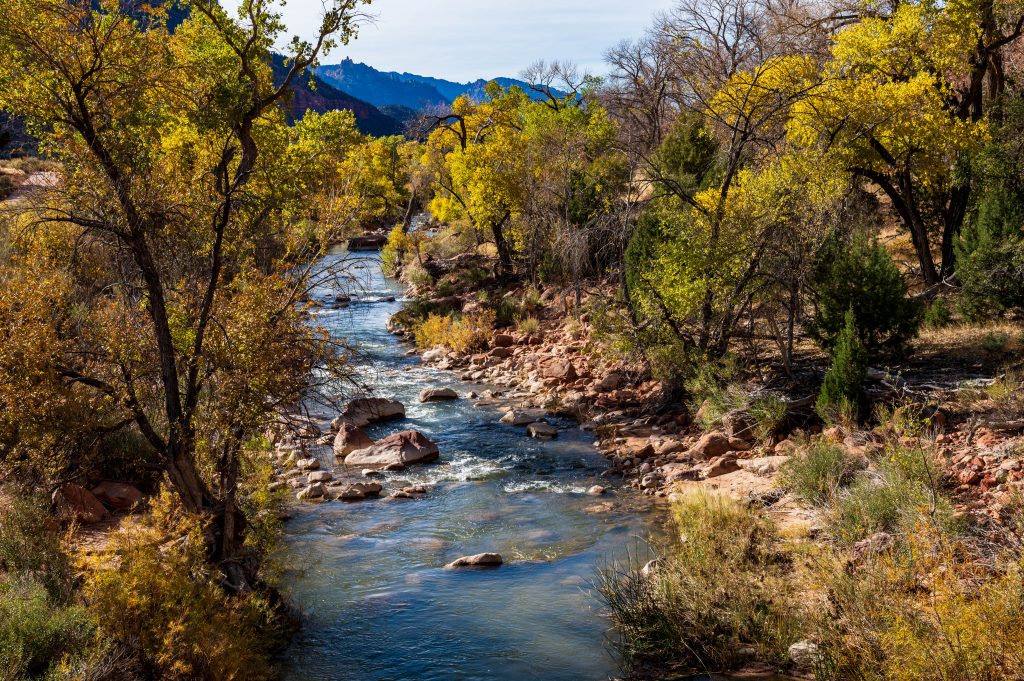 Zion