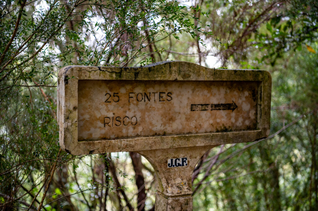 25 Fontes Madera