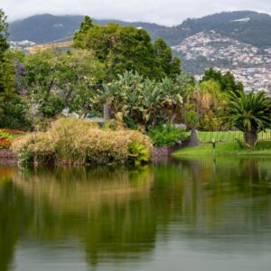 Funchal small