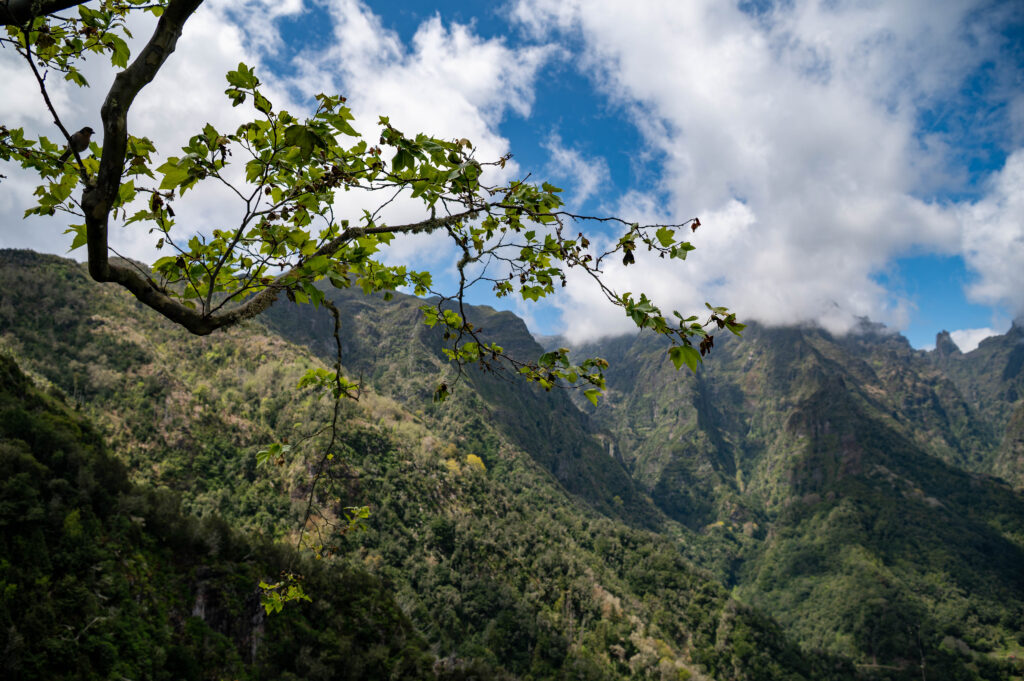 Levada dos Balcões
