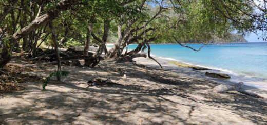 Plaża na wyspie Bequia