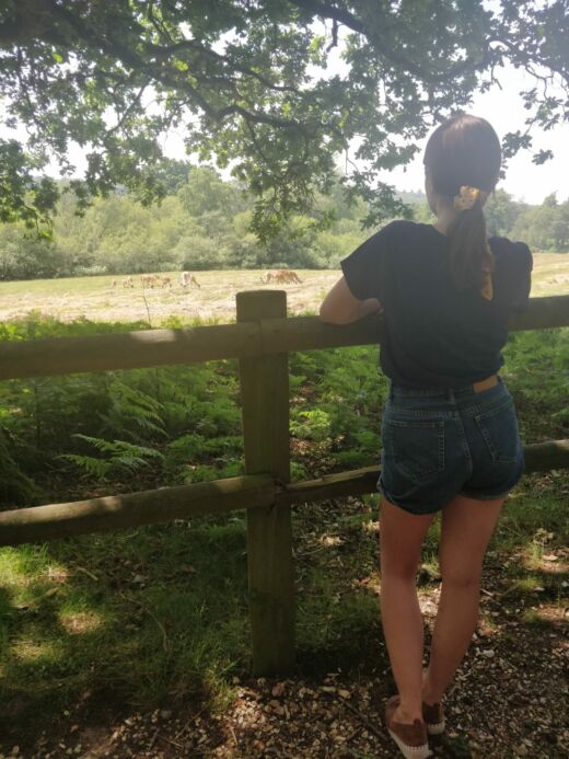 W Sanktuarium Jeleni W Sanktuarium Jeleni