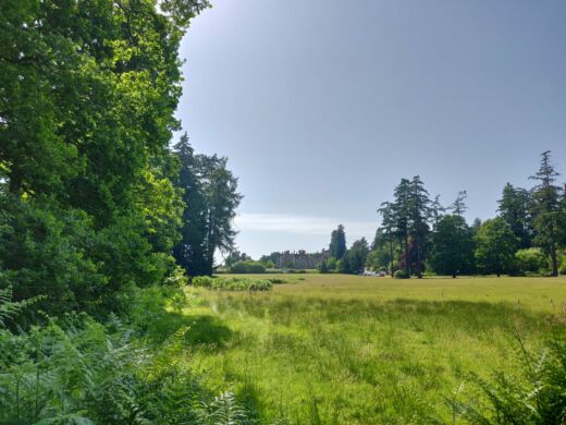 W drodze powrotnej z Deer Sanctuary W drodze powrotnej z Deer Sanctuary