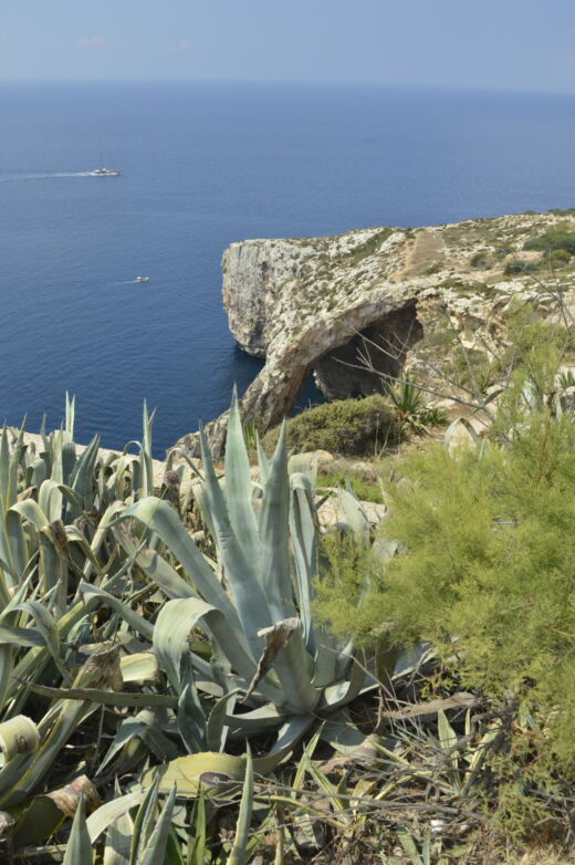 Widok na Blue Grotto