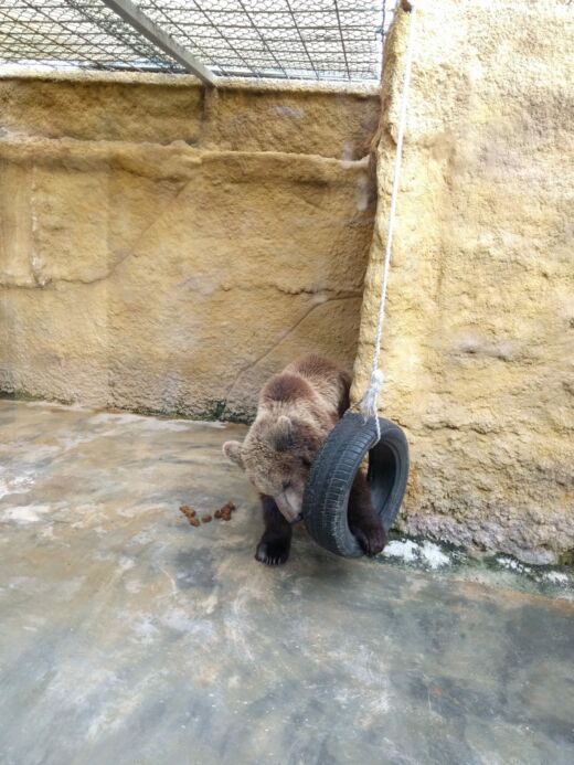 Zoo Malta