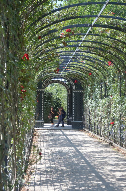 Pałac Schönbrunn