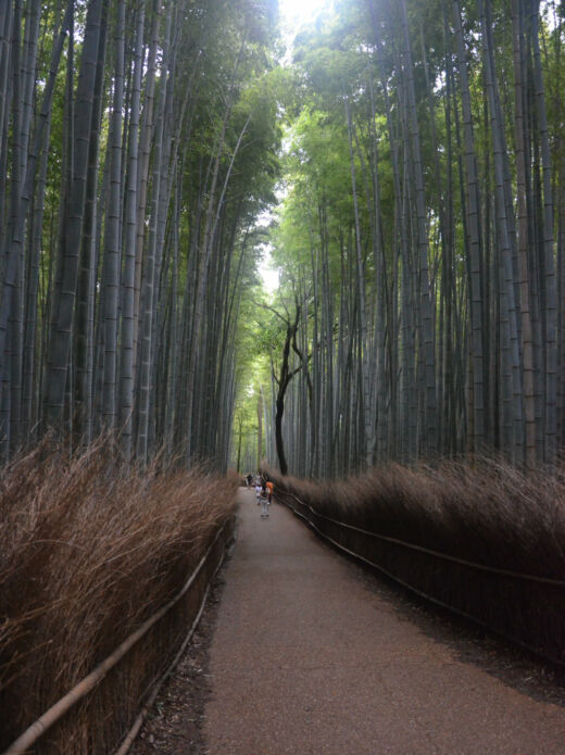 Arashiyama