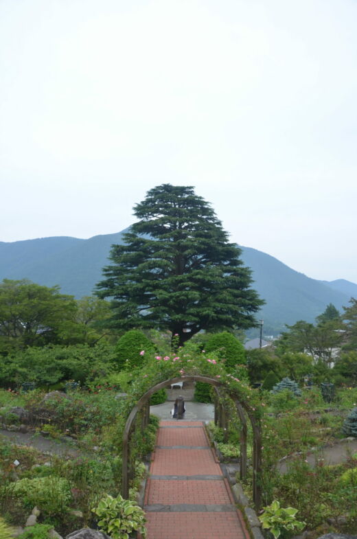 Gora Hakone