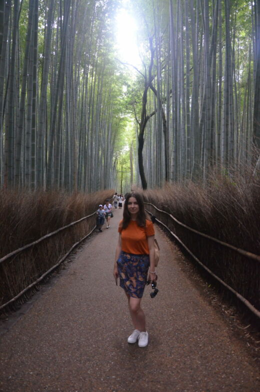 Las bambusowy Kioto