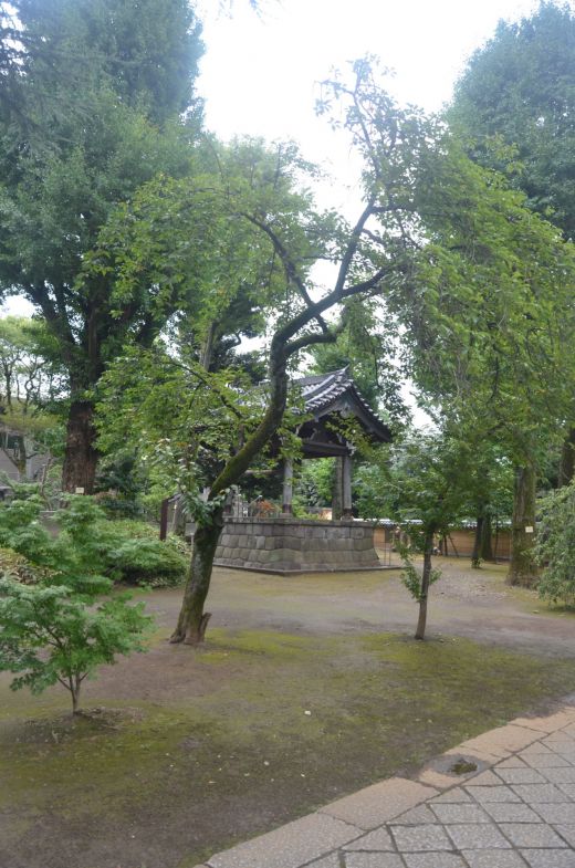 Park Ueno