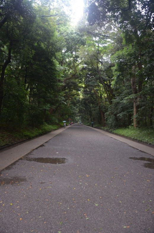 Park Yoyogi Tokio