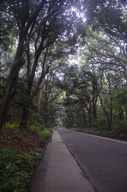 Park Yoyogi Tokio