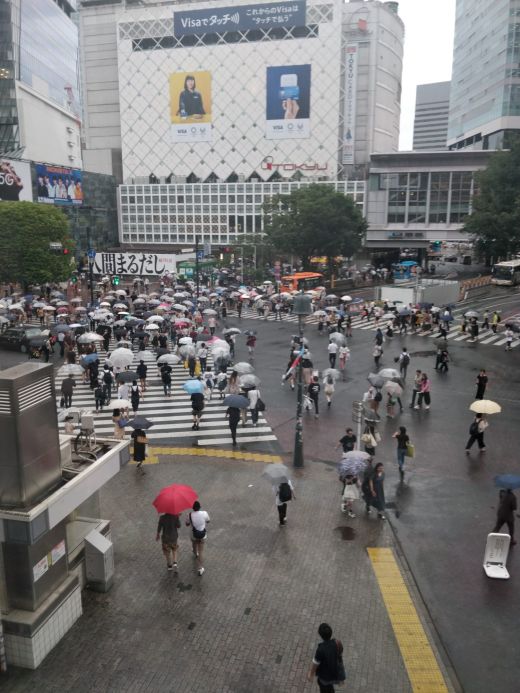 Shibuya crossing