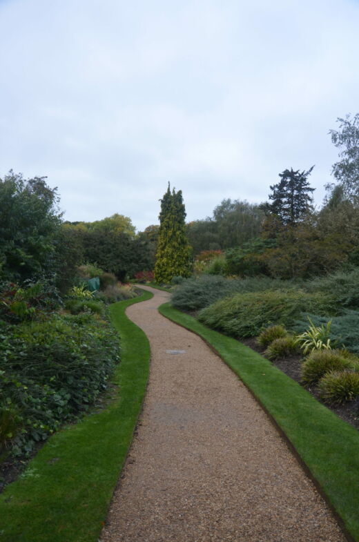 Ogrody Botaniczne Cambridge