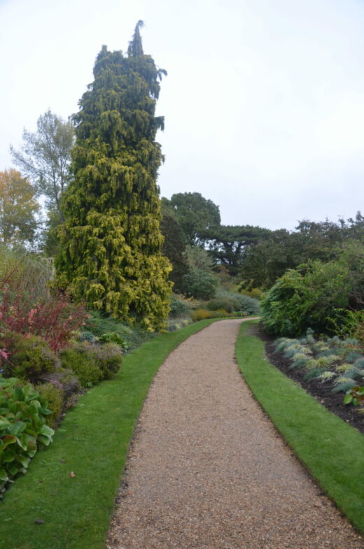 Ogrody Botaniczne Cambridge