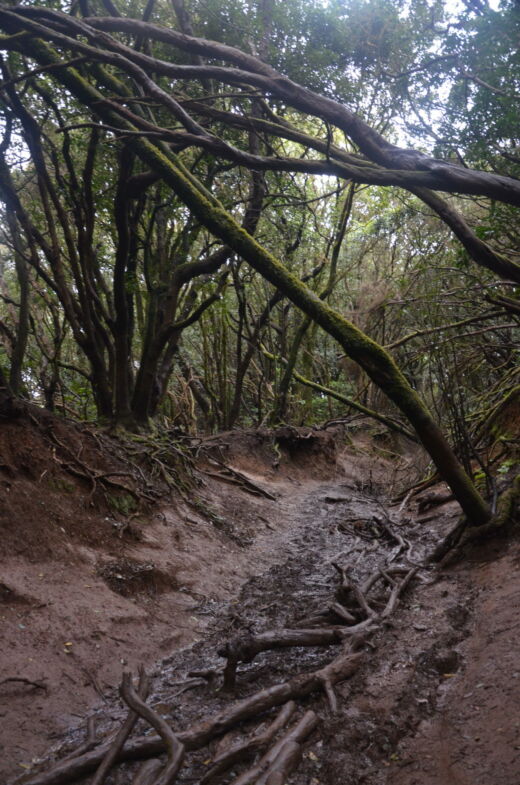 Sendero de los Sentidos