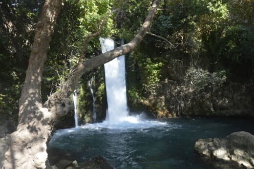 Park Narodowy Banias