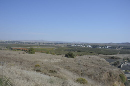 Winiarnia Golan Heights