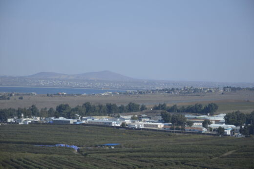 Winiarnia Golan Heights