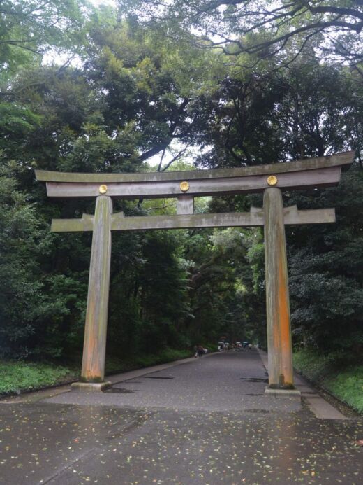 Brama Torii