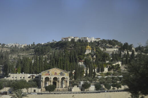Góra Oliwna w Jerozolimie