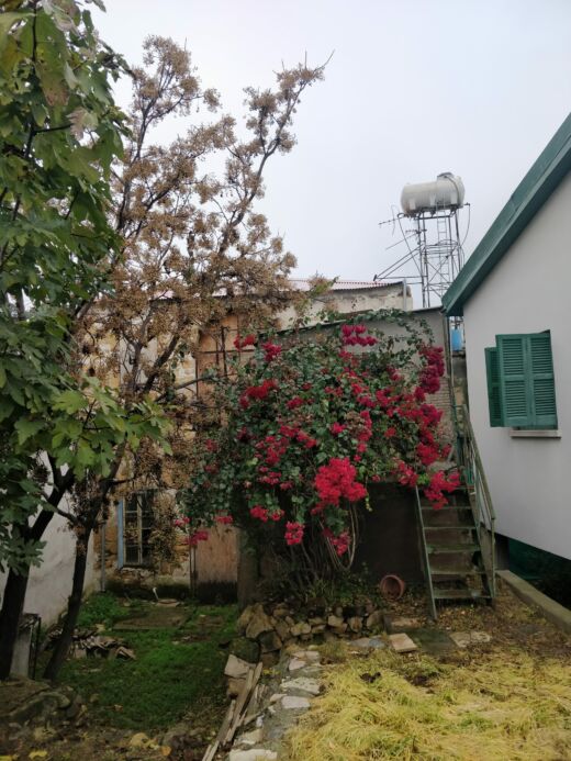 Część grecka Nikozja